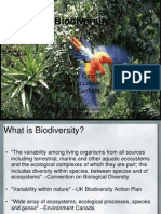 Biodiversity Final