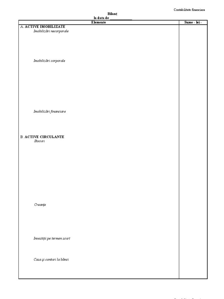 Model de Bilant Si CPP | PDF