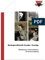 Brug Af Hyrdehunde I Sverige: Rapport Fra Viltskadecentret