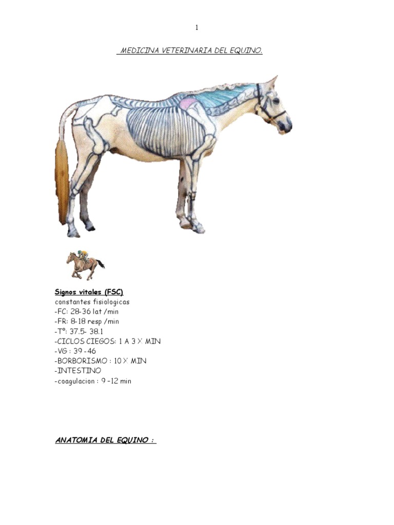 Medicina Veterinaria Del Equino Grande | PDF | Ciencia y matemáticas