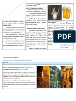 Proiect Iac Soft Ed Pg 1