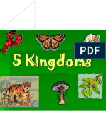 5 Kingdoms