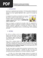 Informe de Coca Cola Terminado  Coca Cola  Productos quimicos