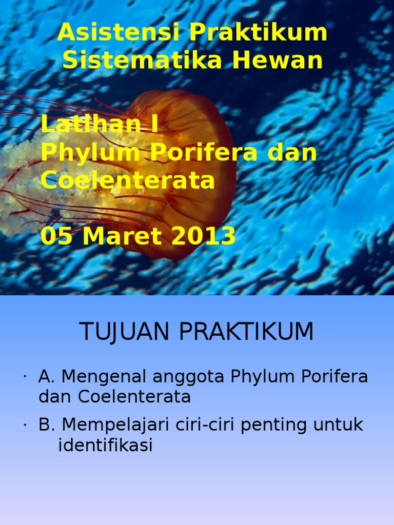 93+ Gambar Hewan Porifera Dan Coelenterata Terbaru