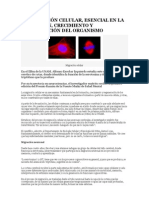 Neurociencias y Triptofano Aprendiz