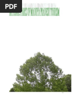 Download National Parks and Madhya Pradesh Tourism by om365 SN12912440 doc pdf