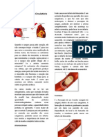 Doenças Do Sistema Circulatório1