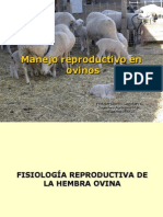 Presentacion Manejo Reproductivo en Ovinos PDF