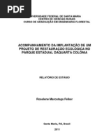 Relatório Estágio Roselene Felker