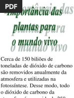 Importância Das Plantas Para o Mundo Vivo