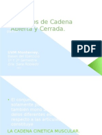 cadenaabiertaycerrada-120321190357-phpapp02.pptx