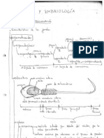 Resumen Embrio PDF