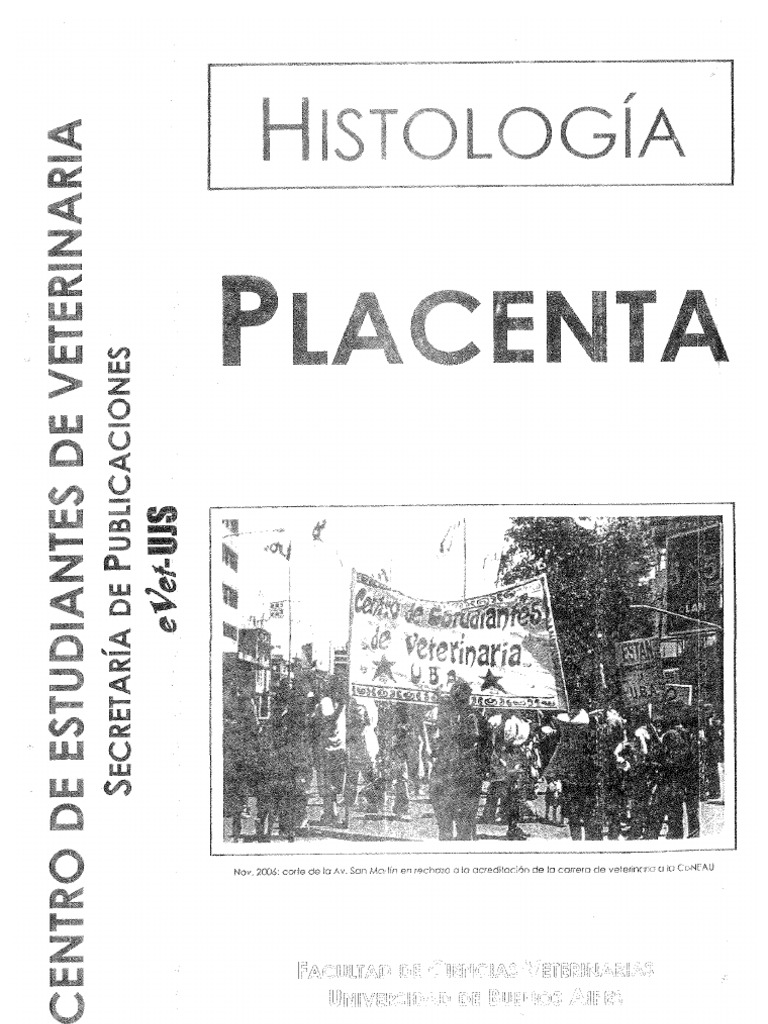 Placenta 1 PDF | PDF