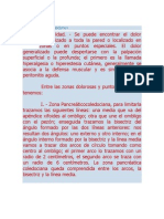 Puntos Dolorosos Del Abdomen