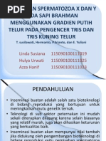 Download Pemisahan Spermatozoa x Dan y Pada Sapi Brahman by Linda Aquarius Susiana SN129232671 doc pdf