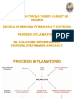 Proceso Inflamatorio