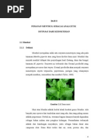 Download MAYA-BAB II by Sandro Egar SN129248319 doc pdf