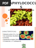 Download Staphylococcus by Katia Elizabeth SN12925344 doc pdf