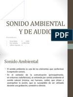 Sonido ambiental y audio