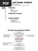 Scanning and Image Analysis