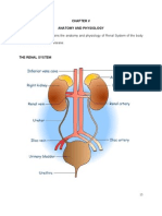 Anaphy Renal