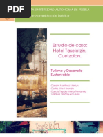 Taselotzin_Equipo Green Soul