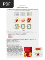 Ficha de Trabalho Movimentos Transmembranares