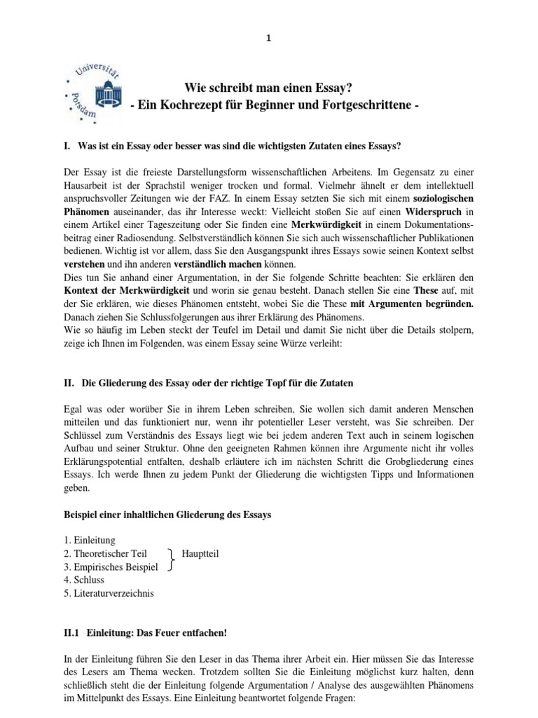 Essay schreiben uni image