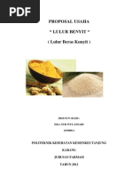 Download Proposal Usaha lulur beras kunyit benyit by Eka Nur Wulansari SN129286751 doc pdf