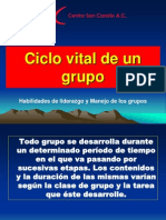 Ciclo Vital