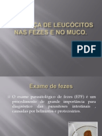 Presença de Leucócitos Nas Fezes e No Muco