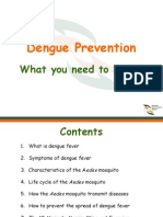 Dengue Prevention: What You Need To Know