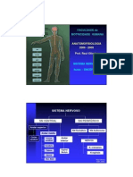 Anatomofisiologia Gd b1 Aula5