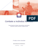 Combate Inc. Florestais - XIII.pdf