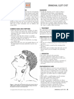 Branchial Cleft Cyst Is A Condition That Has Its Beginning