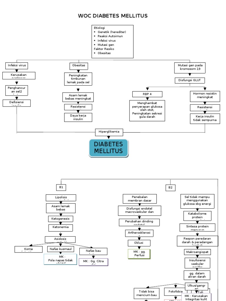 Woc Diabetes Mellitus