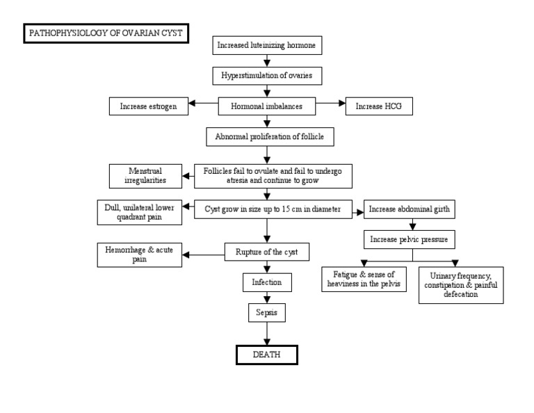 Pa Tho Physiology Of Ovarian Cyst