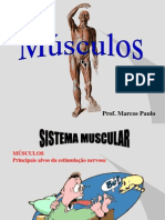 Músculos esqueléticos e movimentos do corpo