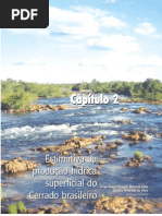 CAP 2 ESTIMATIVA DA PRODUÇÃO HÍDRICA SUPERFICIAL