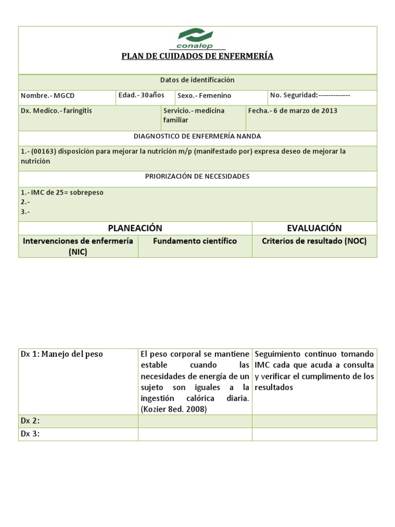 Plan de Cuidados de Enfermería | PDF | Ciencias de la Salud | Cuidado ...