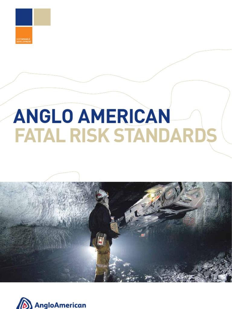 Fatal Risk Standards | PDF | Dangerous Goods | Risk