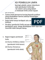 Fisiologi Pembuluh Limfa