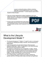Project Life Cycle V Model
