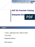 SAP SD Overview Training Enterprise Structure