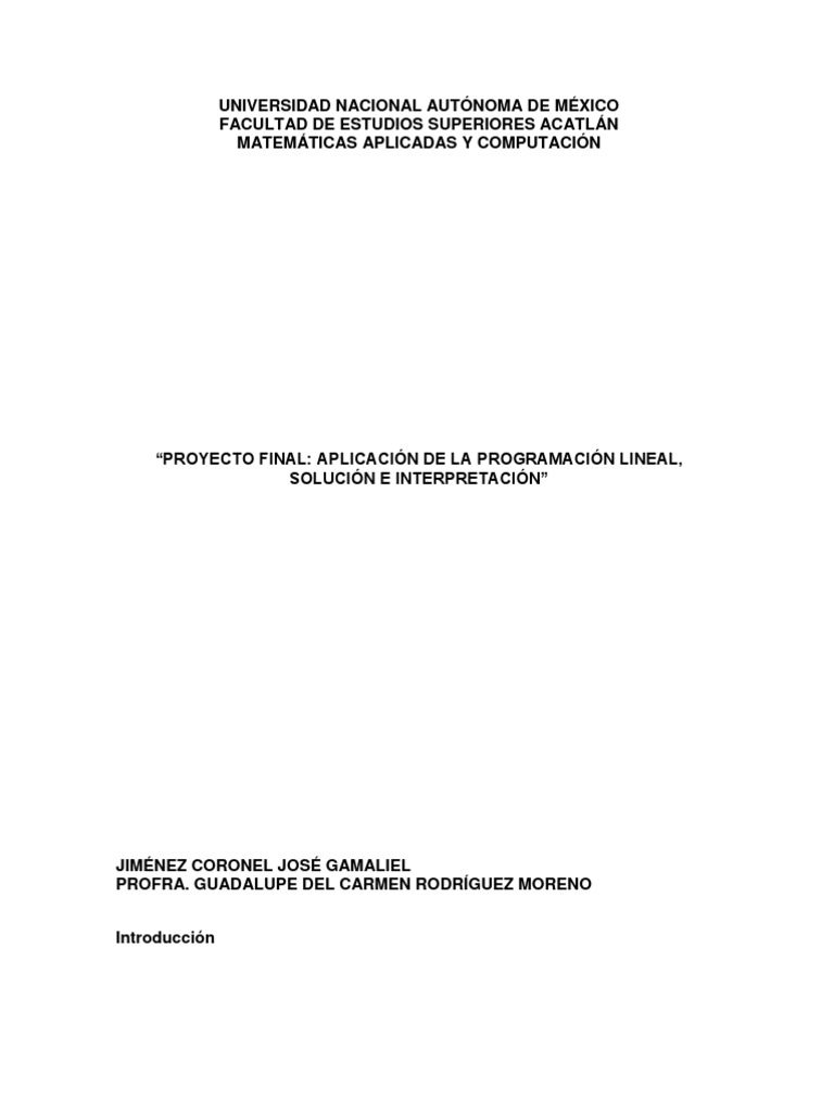 Proyecto Final | PDF