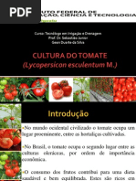 Cultura Do Tomate