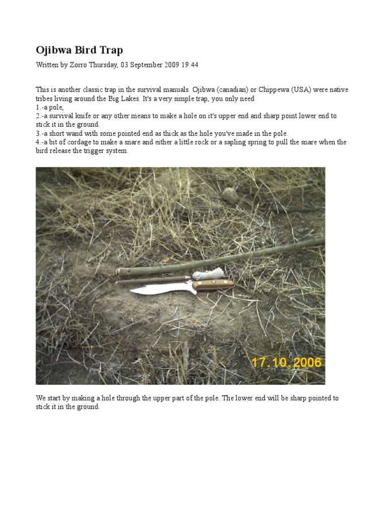 7 Survival Traps Pdf Trapping Trigger Firearms
