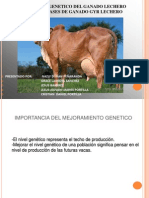 Mejoramiento Genetico en Bovinos