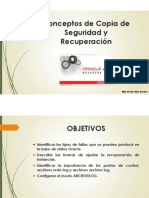 Oracle - Conceptos de Copia de Seguridad y Recuperacion Por Billy J. Alva Rosales