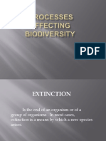 Processes Affecting Biodiversity